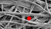 Cellulose filter media allows more dirt to pass through